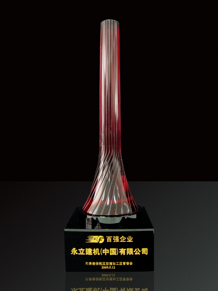 2008百強企業(yè)獎杯.jpg